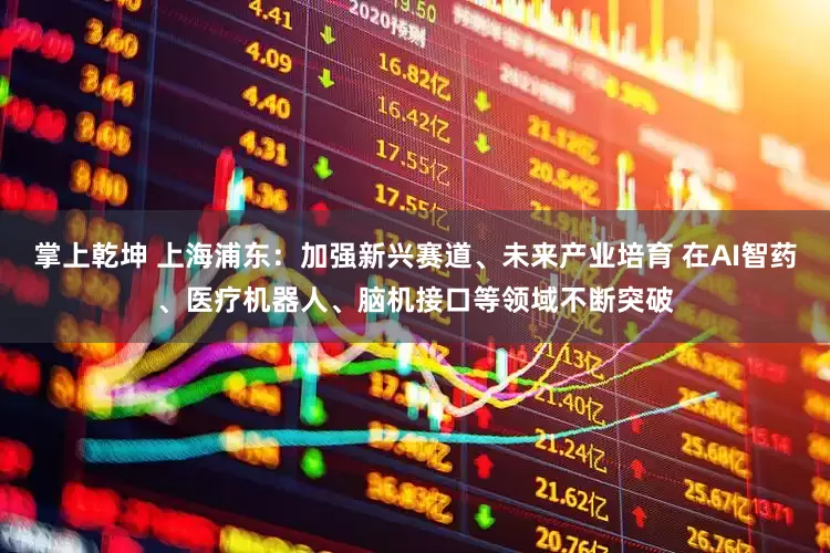 掌上乾坤 上海浦东：加强新兴赛道、未来产业培育 在AI智药、医疗机器人、脑机接口等领域不断突破
