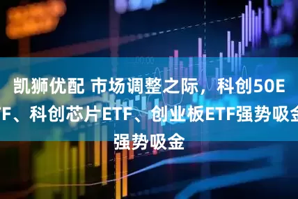 凯狮优配 市场调整之际,科创50ETF、科创芯片ETF、创业板ETF强势吸金