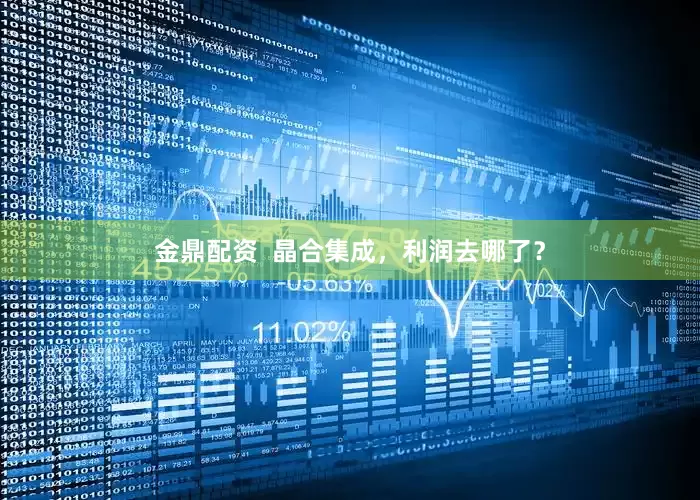 金鼎配资  晶合集成，利润去哪了？